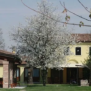 Particolari Del Brenta Oriago Di Mira